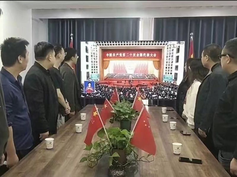 看党的二十大会议
